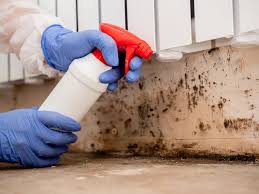 Mold Odor Removal Services in Milton, WA